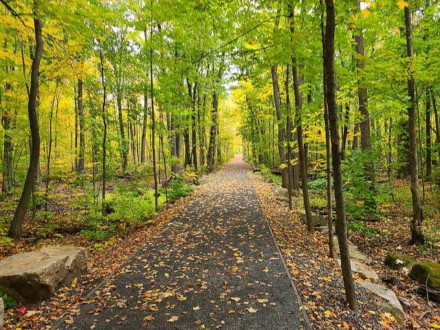 Parc-nature du Bois-de-Saraguay