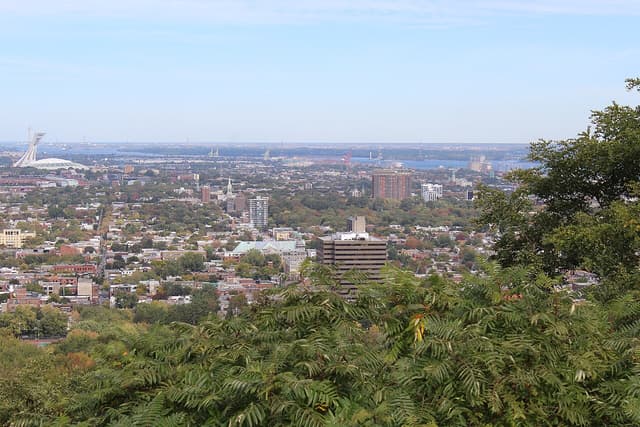 Promenade au parc du Mont-Royal