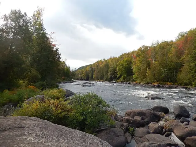 The Ouareau River between forested banks in Forêt-Ouareau regional park.