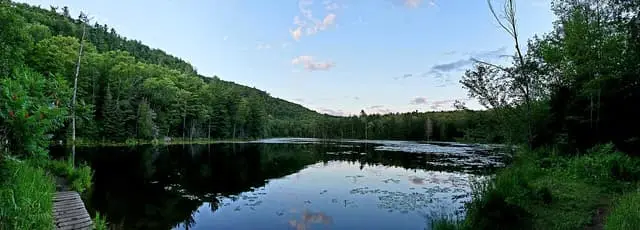 Lac du Paradis surrounded by forest in the Alfred-Kelly Nature Reserve in 2020.