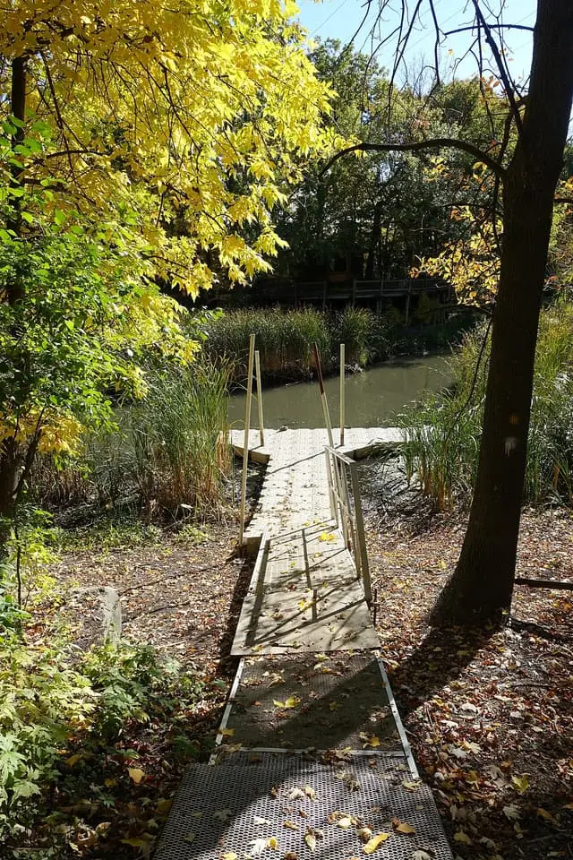 A wooden footbridge among autumn trees in Bois-de-Liesse nature park.