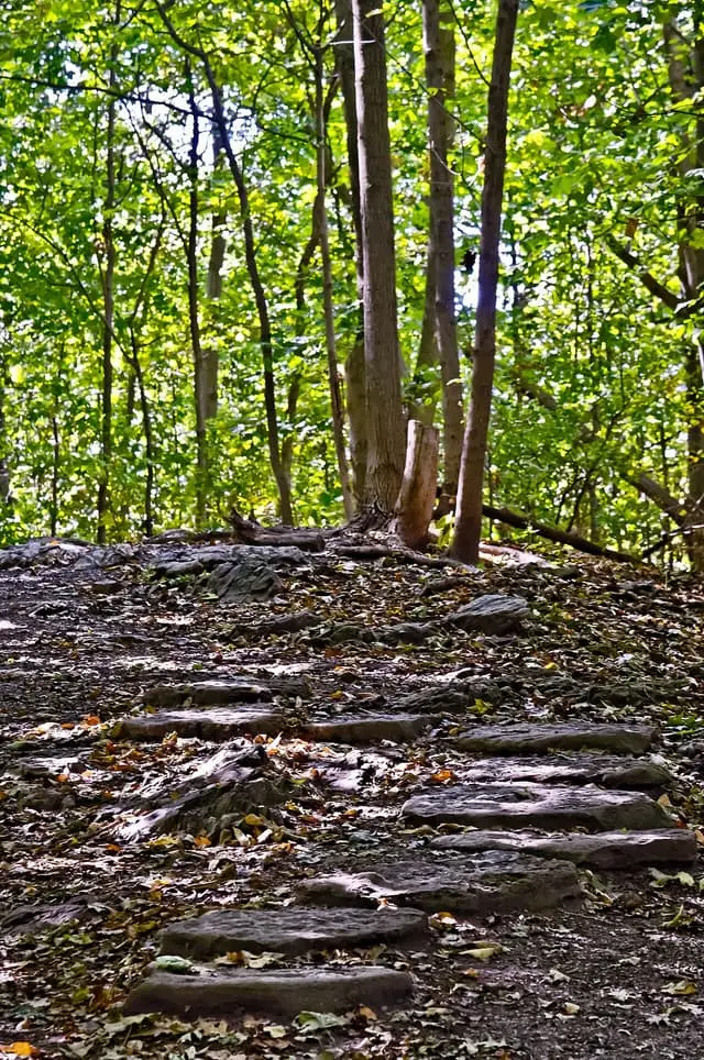 A wooded path in Summit Woods in Westmount in 2012.
