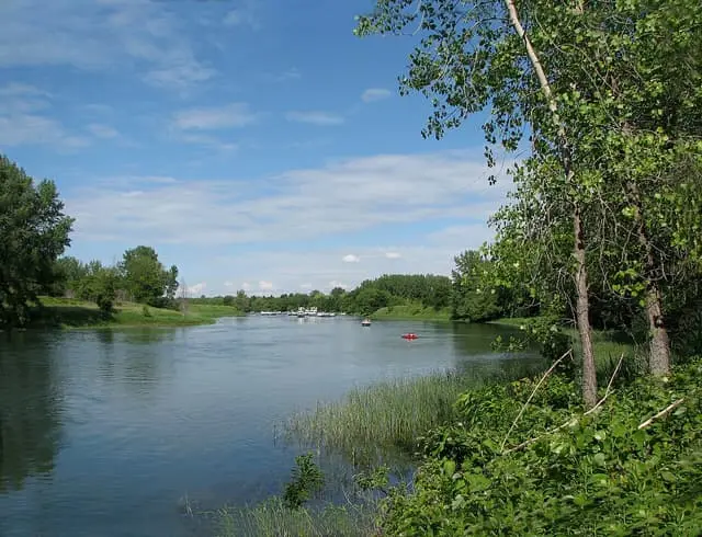 Water and green riverbanks in the Îles-de-Boucherville national park.