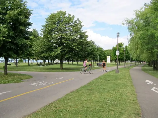 A cyclist on a tree-lined path in Parc René-Lévesque.